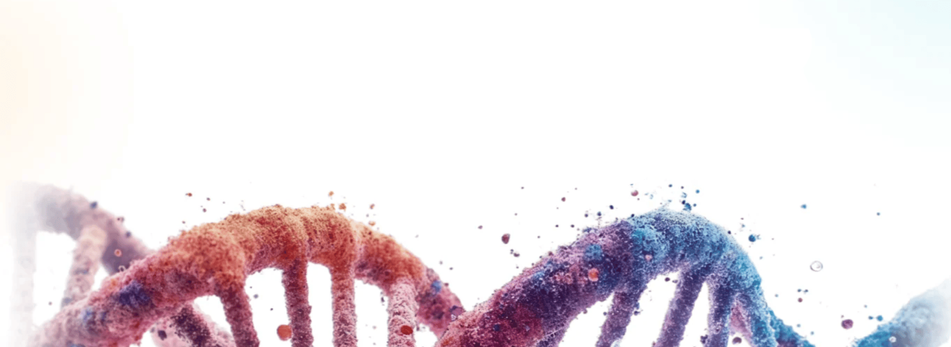 alzheimers-risk-predictor