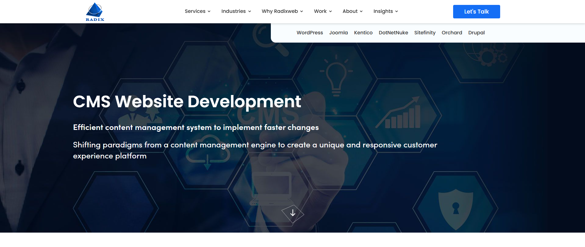 Radixweb.png Radixweb